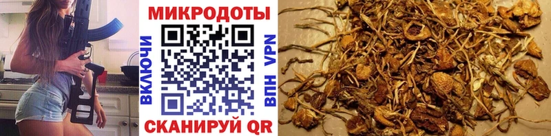 MEGA как зайти  Семилуки  Галлюциногенные грибы прущие грибы 